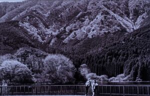夢を語る／増田嘉徳