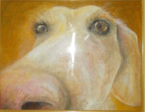 どあっぷ♡／大橋美佐子