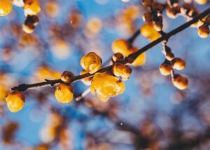 作り物みたい／田中敏弘